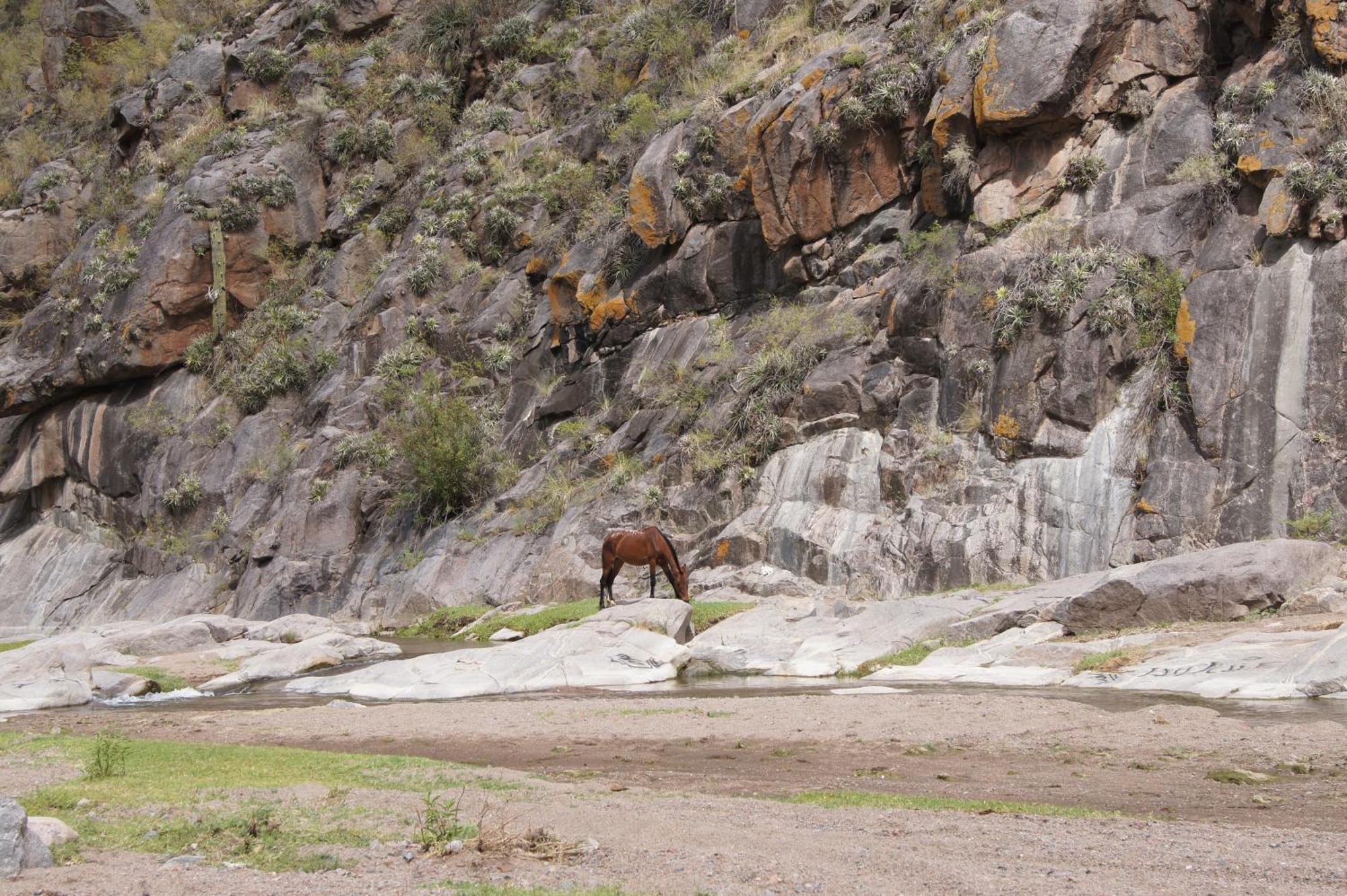 Altos Del Valle San Agustín de Valle Fértil 외부 사진