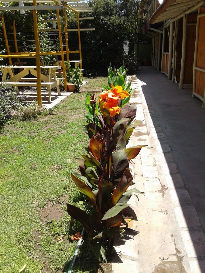 Altos Del Valle San Agustín de Valle Fértil 외부 사진
